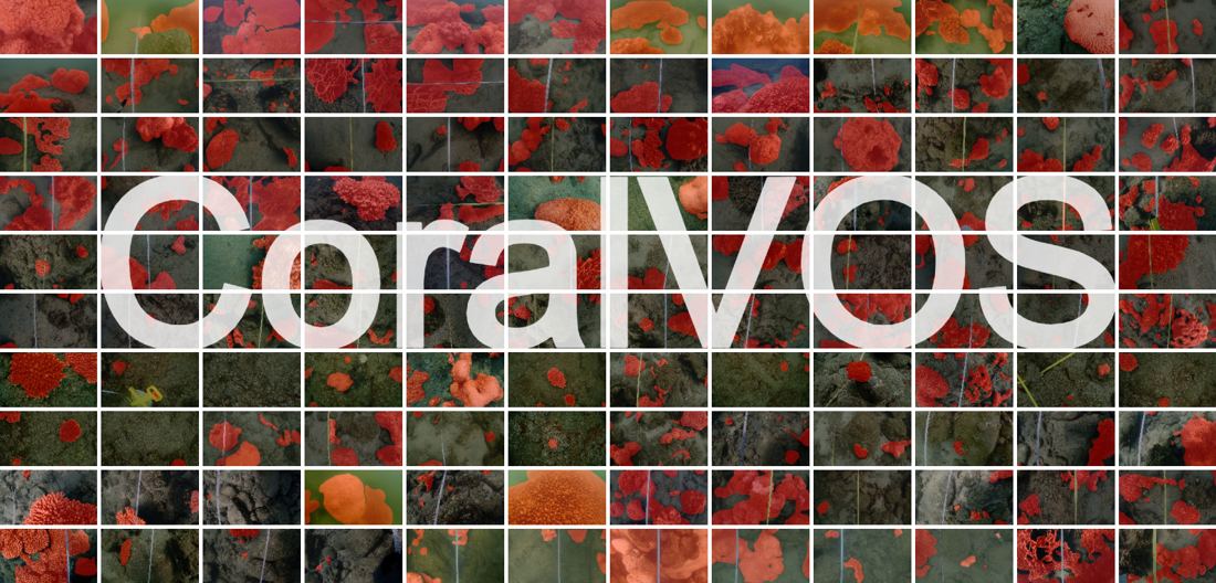 CoralVOS title over a grid of video frames with coral masks in red
