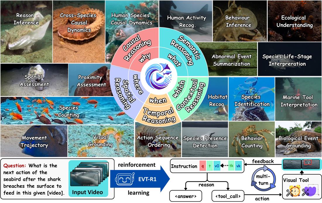 MarineEVT overview figure with reasoning dimensions and the EVT-R1 tool-reasoning loop