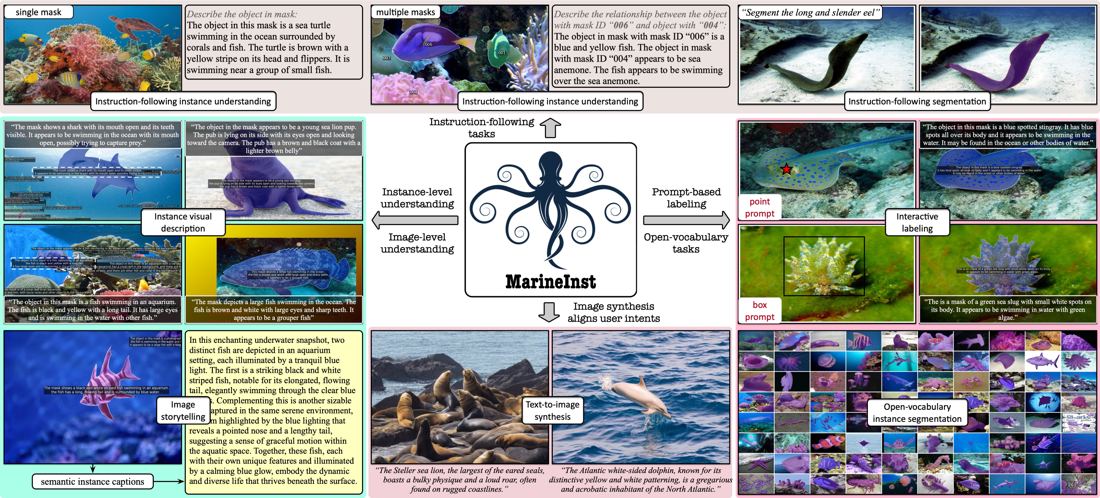 MarineInst teaser figure showing instance masks and captions for many downstream marine tasks