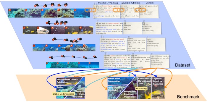 MarineLife-16K overview: marine video clips with motion, multi-object and other questions, organised into a dataset and a benchmark