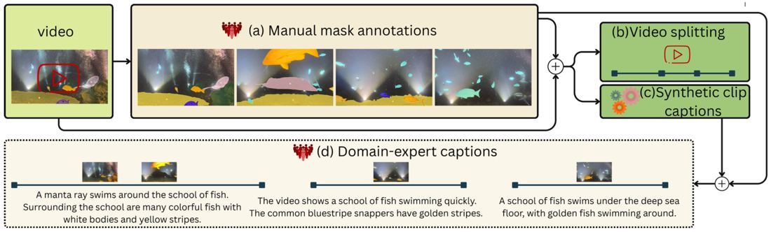 MSC annotation pipeline: manual mask annotations, video splitting, synthetic clip captions and expert captions