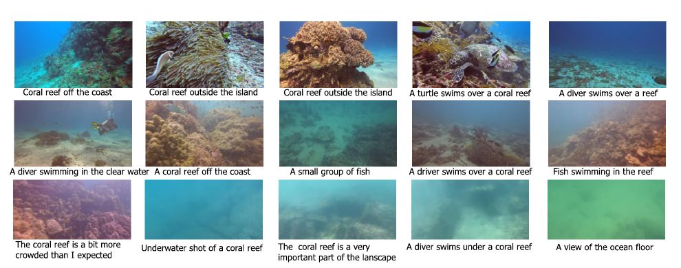 Grid of Marine Video Kit frames from dive sites, each with an automatic caption